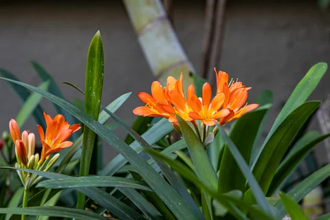 Facilities | Loerie's Call Guest House & Francolin Lodge