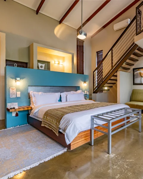 Loerie's Call Guest House & Francolin Lodge