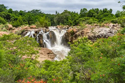 © The Guys - Professional Photographers & Designers - www.theguys.co.za